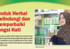 Produk Herbal Melindungi dan Memperbaiki Fungsi Hati