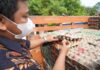 Perlu Membangun Ekosistem Pangan Nasional