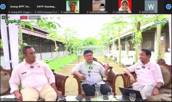 Balai Pelatihan Peternakan dan Ketahanan Pangan (BPPKP) Cikole, Lembang, Jawa Barat bersama dengan Dinas Ketahanan Pangan dan Peternakan (DKPP) Provinsi Jawa Barat menggelar acara bincang santai bertajuk “Bincang Cikole Season 2 Vol.5” pada Selasa, (24/05).