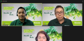 PT Biochem Zusatzstoffe Indonesia bekerjasama dengan PT SHS International menyelenggarakan seminar daring pada hari Selasa (28/6) bertema “Visible Support and Effective First Protection for DOC in Hatcheries and Farm”.