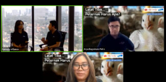 Musim pancaroba merupakan kondisi yang sulit mengingat keberadaan lalat dapat melonjak. Apabila hal demikian terjadi, maka keberadaannya dapat mendatangkan petaka bagi peternak mengingat lalat merupakan salah satu sumber penyebaran penyakit.