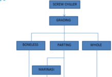 Proses manajemen sistem rantai dingin di RPHU (Sumber ARPI dalam webinar logistik perunggasan yang diadakan oleh Poultry Indonesia)