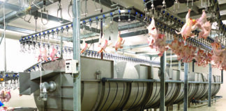 Tahap screw chiller dalam sistem rantai dingin RPHU (Sumber: viv.net)