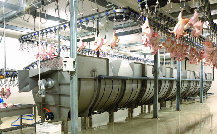 Tahap screw chiller dalam sistem rantai dingin RPHU (Sumber: viv.net)